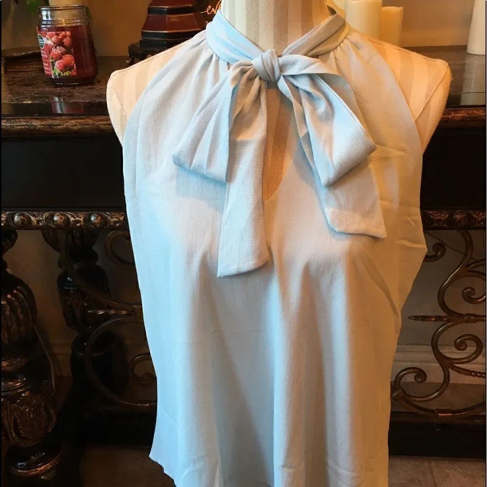 14 Blue Tie Blouse Top